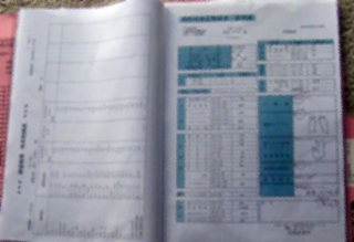 e0228147_1339315.jpg