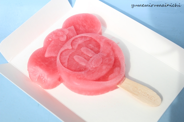 Tokyo Disneyland_e0294761_15255566.jpg