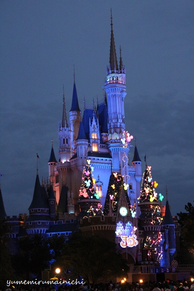 Tokyo Disneyland_e0294761_15501496.jpg