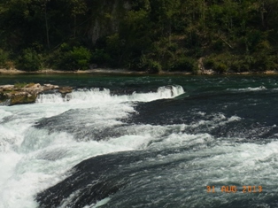 e0195766_6978.jpg