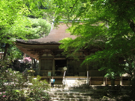  奈良＆京都7泊8日旅行記 2013年5月：2日目 花の寺を巡る_a0116772_9505293.jpg