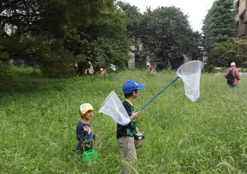 津田で昆虫教室_f0059673_2346613.jpg