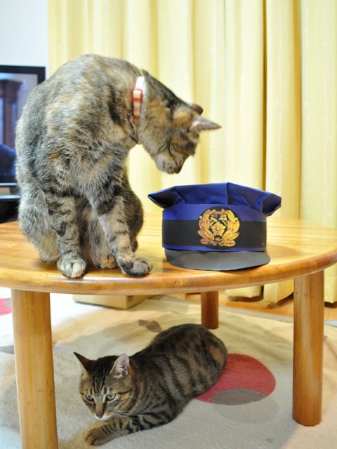 頑張った!_a0126590_0123872.jpg