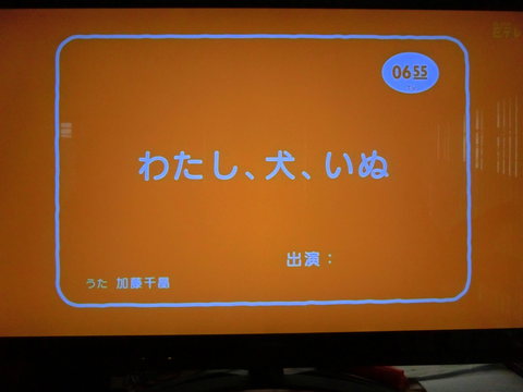 あなた 犬 いぬ カルデラバッチョの日々