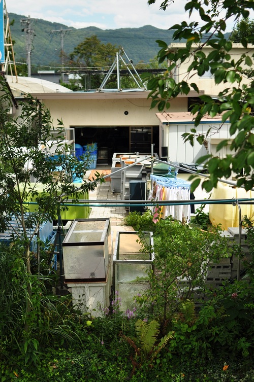 e0205297_13395680.jpg