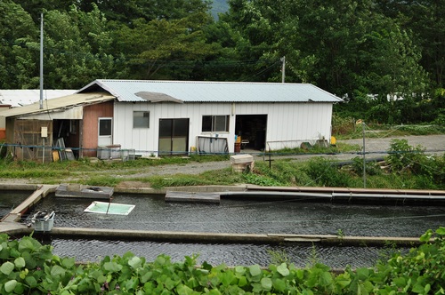 e0205297_1340415.jpg