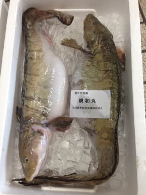かに汁食べに来てね(^o^)/_d0235898_21565446.jpg