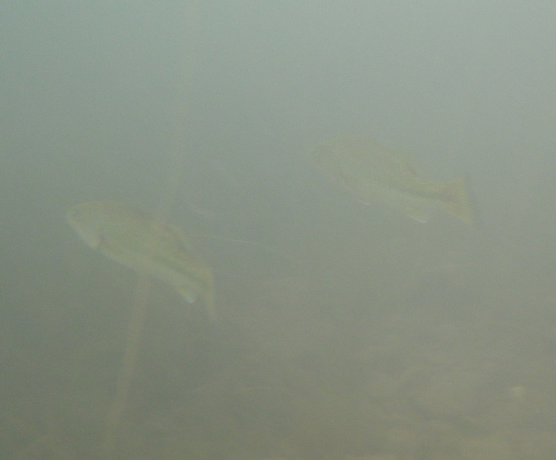 a0248700_17461913.jpg