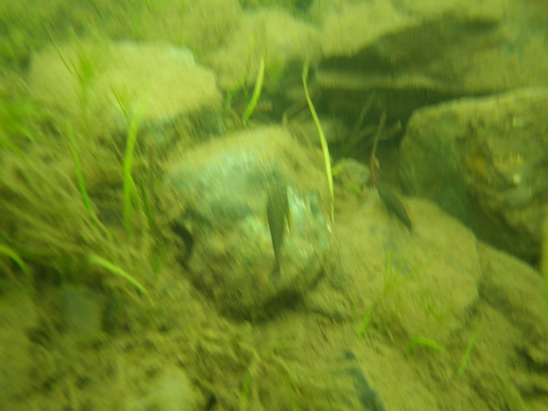 a0248700_17481855.jpg