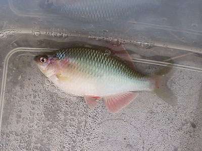 f0082402_15501017.jpg