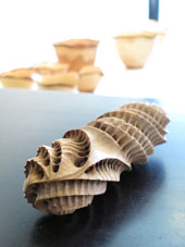 藤沼哲の木彫展、17日まで_c0218903_8281256.jpg
