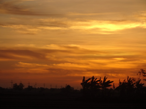 a0247904_2055193.jpg