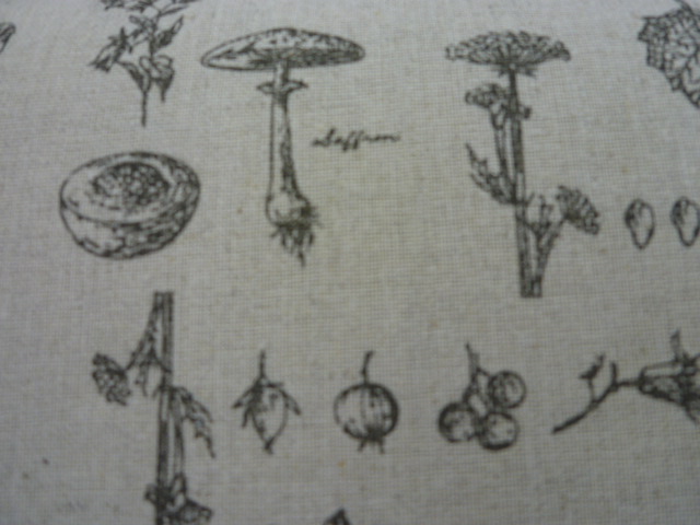 植物標本の図のような柄のコットン生地_d0156706_1012859.jpg
