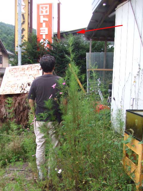 c0085508_9145729.jpg