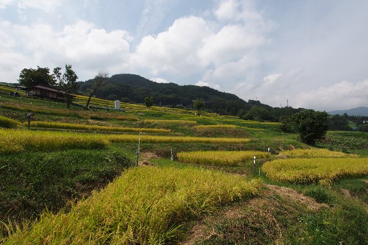 a0268412_0391398.jpg