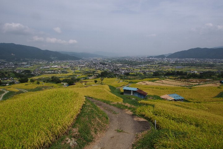 a0268412_0391921.jpg