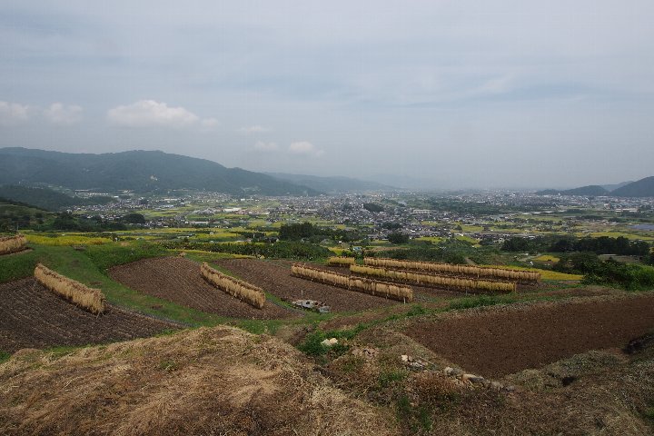 a0268412_039953.jpg