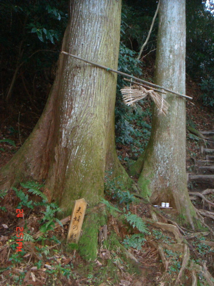 b0291016_8243665.jpg