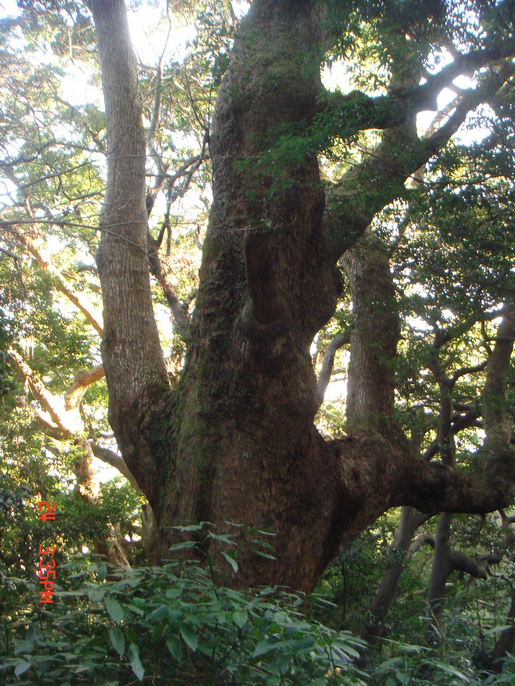 b0291016_9493839.jpg