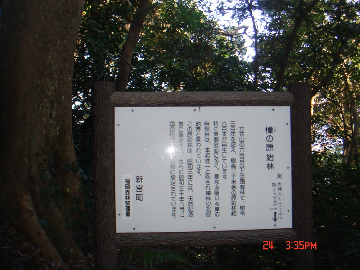 b0291016_950347.jpg