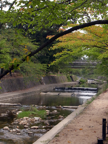 定着しつつある朝のラジオ体操_e0083517_19374363.jpg