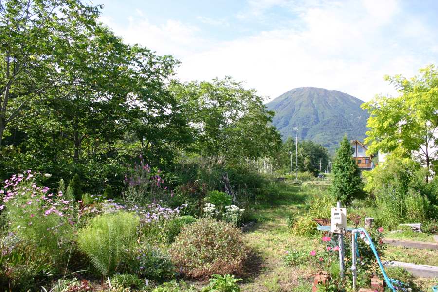 d0143719_17195188.jpg