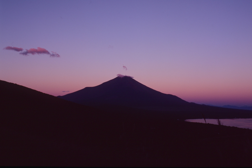d0240223_72789.jpg