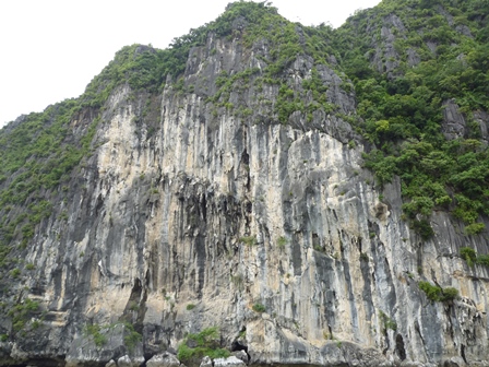 b0226431_19562224.jpg