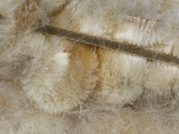 d0323231_23175150.jpg