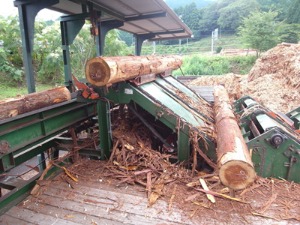 熊野・野地木材へ。_e0021031_1356513.jpg