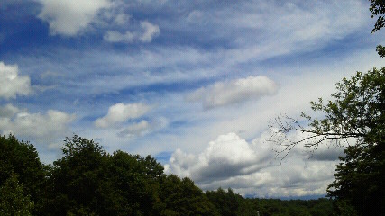 f0161834_95519.jpg