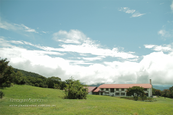 しっとり、吾妻山さんぽ♪③～そして　青空。_b0197639_1715368.jpg