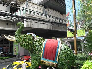 a0087146_1305391.jpg