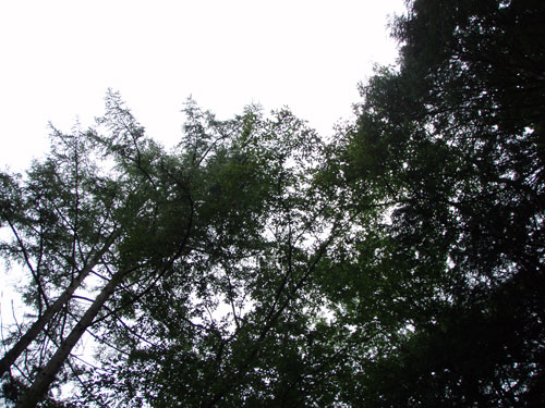 e0201348_22462248.jpg