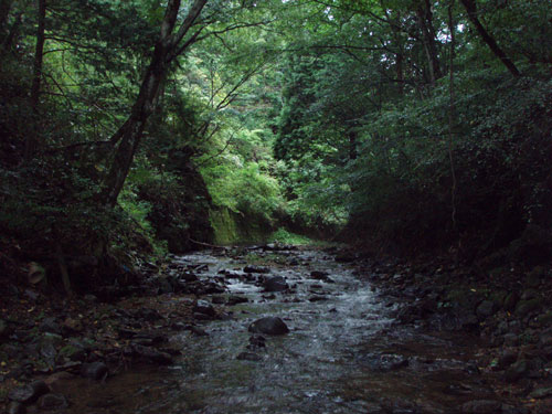 e0201348_22463230.jpg