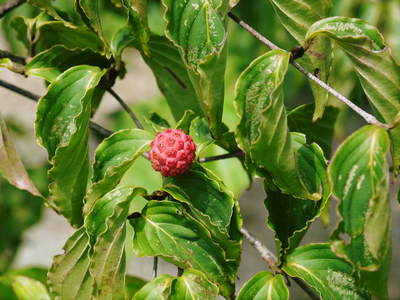 a0254656_18353485.jpg
