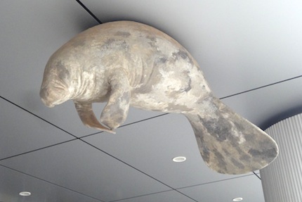 f0054859_1029281.jpg