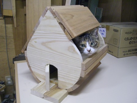 しずくのおうち 買っちゃおうかな_f0206159_8435898.jpg