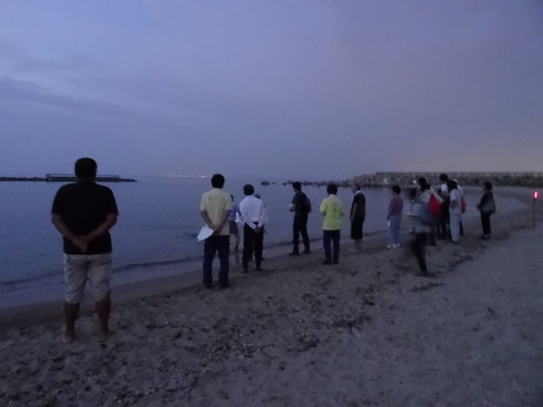 ウミホタル観察会」リハーサル in せんなん里海公園海岸_c0108460_1144521.jpg