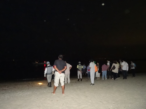 ウミホタル観察会」リハーサル in せんなん里海公園海岸_c0108460_1282439.jpg