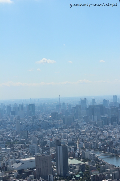 東京スカイツリー_e0294761_1515330.jpg