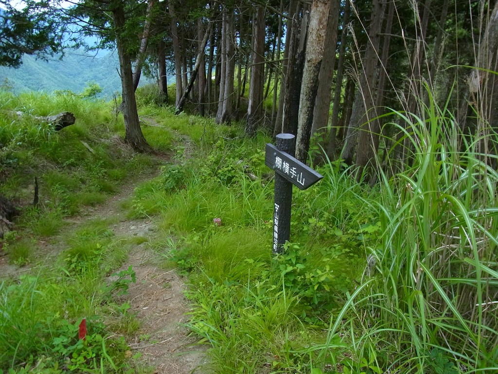 2013/07/15　大滝山　棚横手山　甲州高尾山　宮后山　柏尾山　中編_d0233770_1215679.jpg