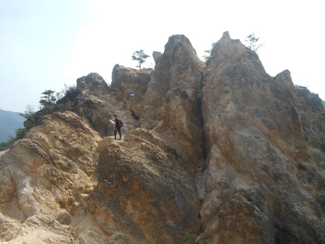 c0206177_50629.jpg