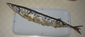 f0003283_7445761.jpg