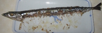 f0003283_745259.jpg
