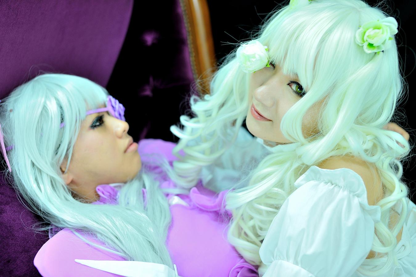 ローゼンメイデン 雪華綺晶 薔薇水晶 ｐｉｃｏ ぬこ館 零犬のおさんぽ