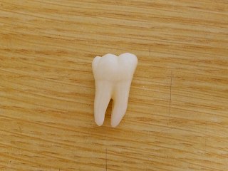 b0185290_10261069.jpg