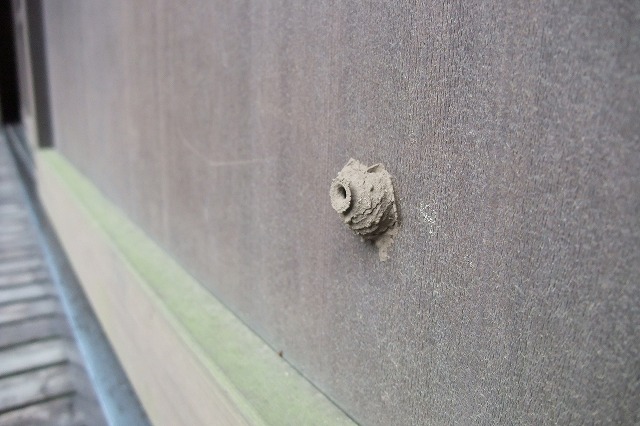 e0070891_1891683.jpg