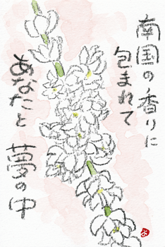a0030594_2313647.gif