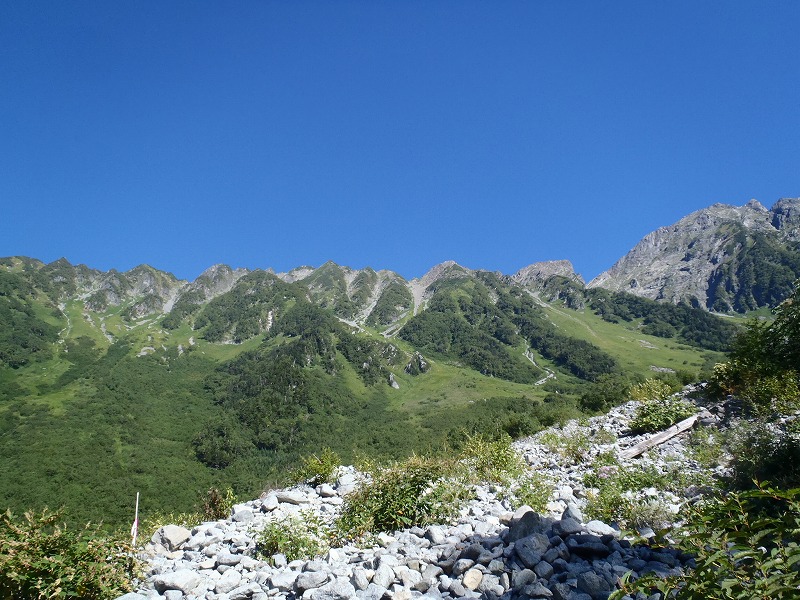c0147398_218112.jpg